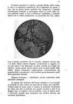 giornale/CFI0388512/1946/unico/00000017