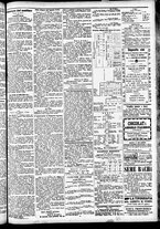 giornale/CFI0391298/1887/marzo/19