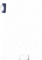 giornale/CFI0391722/1924/unico/00000002