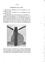 giornale/CFI0393646/1922/unico/00000117
