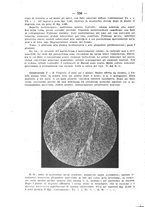 giornale/CFI0393646/1928/unico/00000640