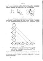 giornale/CFI0393646/1931/unico/00000028