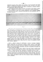 giornale/CFI0393646/1931/unico/00000076