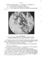 giornale/CFI0393646/1934/unico/00000358