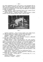 giornale/CFI0393646/1935/unico/00000263