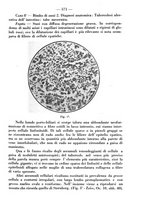 giornale/CFI0393646/1935/unico/00000617