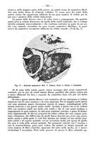giornale/CFI0393646/1935/unico/00000827