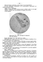 giornale/CFI0393646/1937/unico/00000237