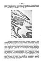 giornale/CFI0393646/1937/unico/00000735