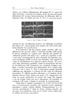 giornale/CFI0393646/1946/unico/00000428