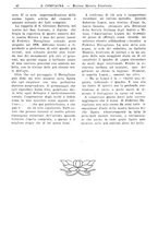 giornale/CFI0394027/1928/unico/00000048