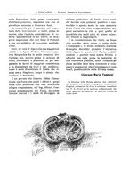 giornale/CFI0394027/1931/unico/00000055