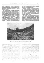 giornale/CFI0394027/1931/unico/00000077