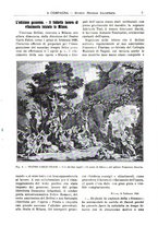 giornale/CFI0394027/1932/unico/00000313