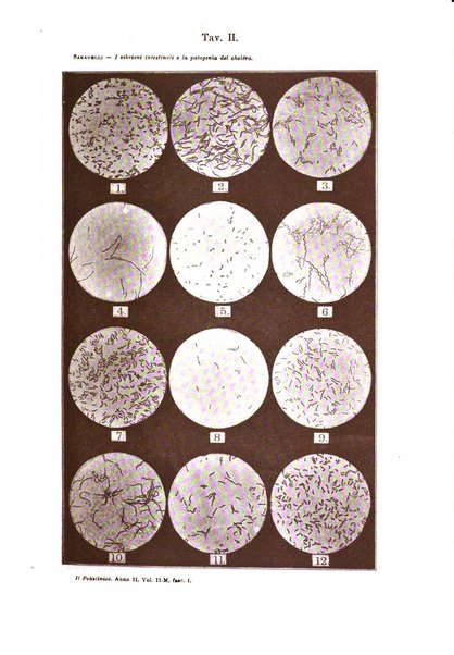 Il policlinico. Sezione medica