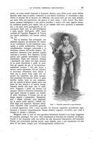 giornale/CFI0397627/1897/unico/00000045