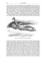 giornale/CFI0397627/1897/unico/00000048