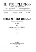 giornale/CFI0397627/1897/unico/00000061
