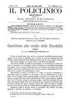 giornale/CFI0397627/1897/unico/00000205