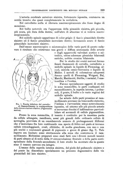 Il policlinico. Sezione medica