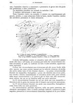 giornale/CFI0397627/1897/unico/00000286