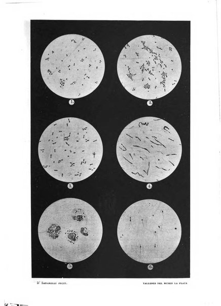 Il policlinico. Sezione medica