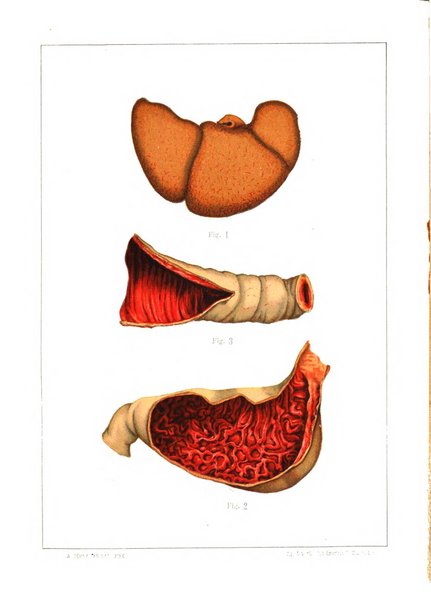 Il policlinico. Sezione medica