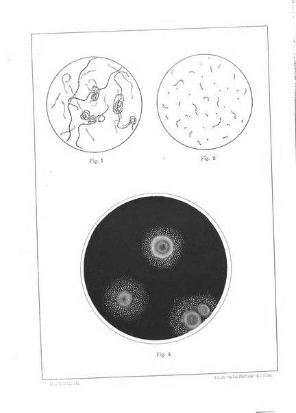 Il policlinico. Sezione medica