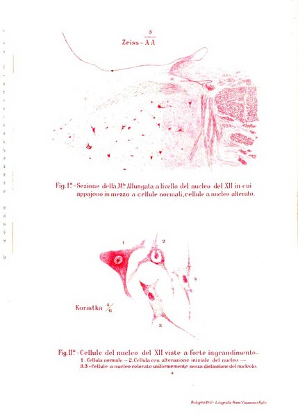 Il policlinico. Sezione medica