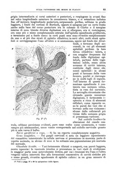 Il policlinico. Sezione medica