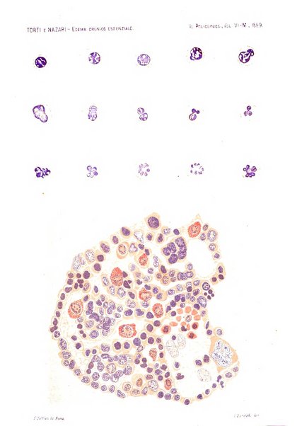 Il policlinico. Sezione medica