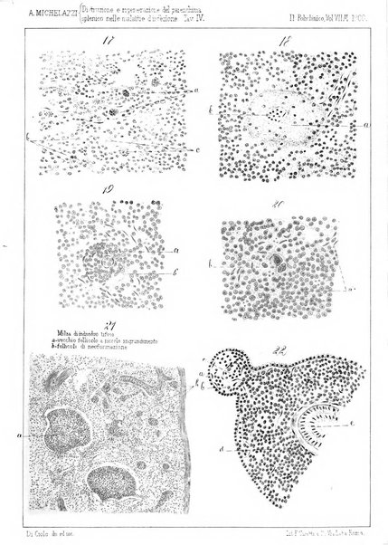 Il policlinico. Sezione medica