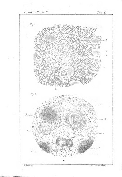 Il policlinico. Sezione medica