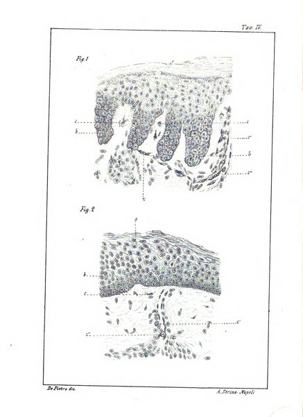 Il policlinico. Sezione medica