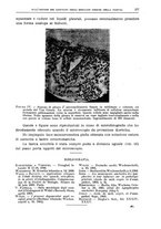 giornale/CFI0397627/1904/unico/00000591
