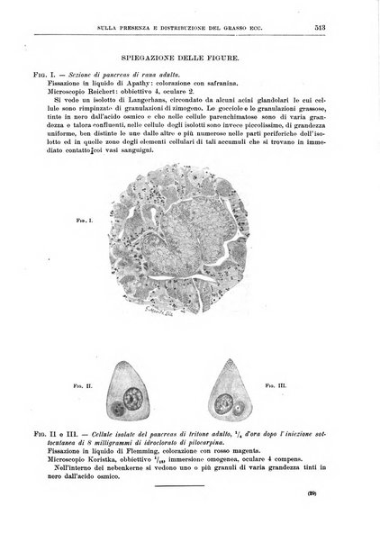 Il policlinico. Sezione medica