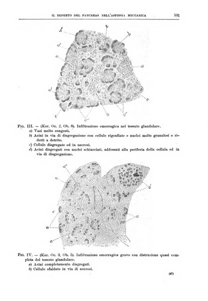 Il policlinico. Sezione medica