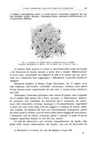 giornale/CFI0397627/1907/unico/00000159