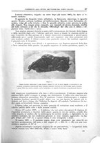 giornale/CFI0397627/1908/unico/00000215