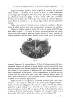 giornale/CFI0397627/1911/unico/00000017