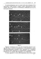 giornale/CFI0397627/1915/unico/00000219