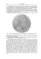 giornale/CFI0397627/1915/unico/00000288