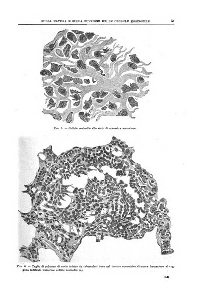 Il policlinico. Sezione medica