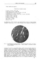 giornale/CFI0397627/1918/unico/00000387