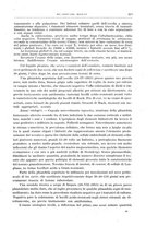 giornale/CFI0397627/1919/unico/00000241