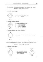 giornale/CFI0397627/1919/unico/00000329