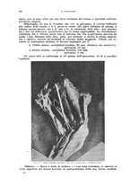 giornale/CFI0397627/1919/unico/00000336