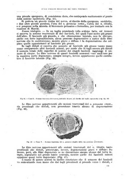 Il policlinico. Sezione medica