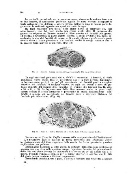 Il policlinico. Sezione medica