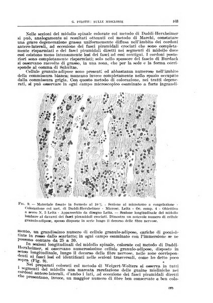 Il policlinico. Sezione medica